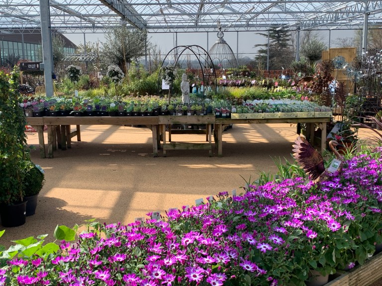 About us – Highfield Garden World