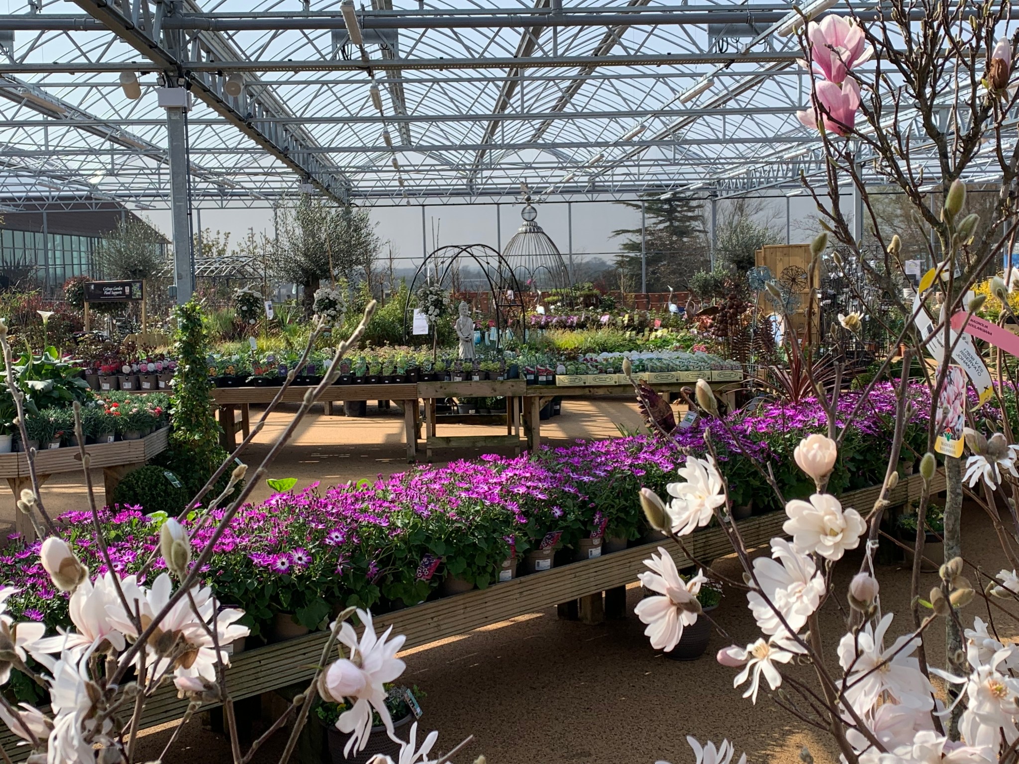 About us – Highfield Garden World