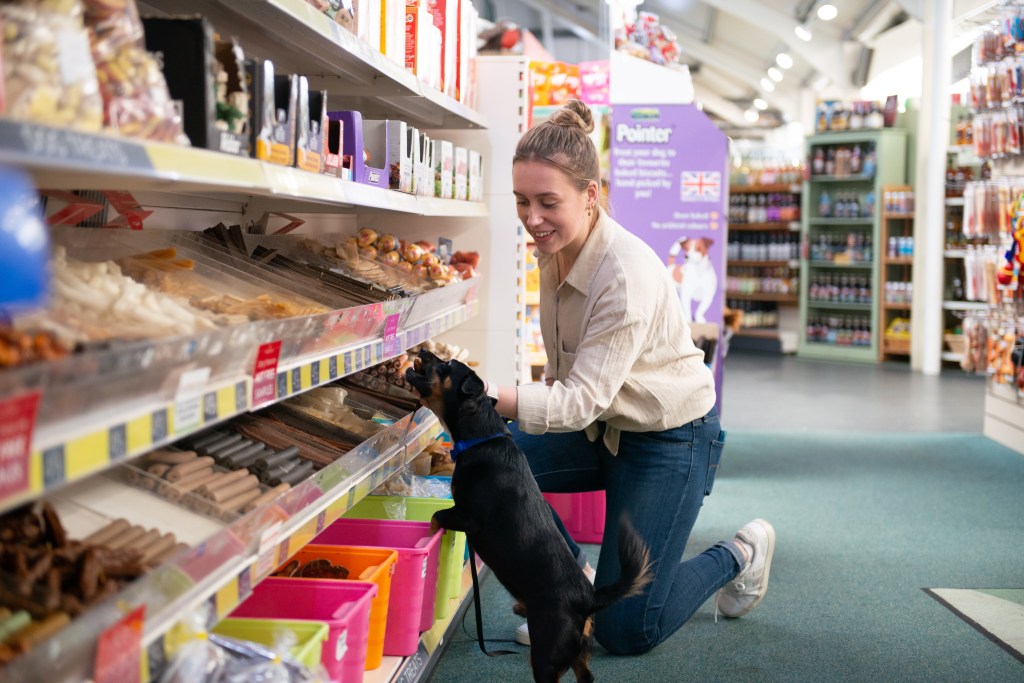 Dogs at Highfield – Highfield Garden World