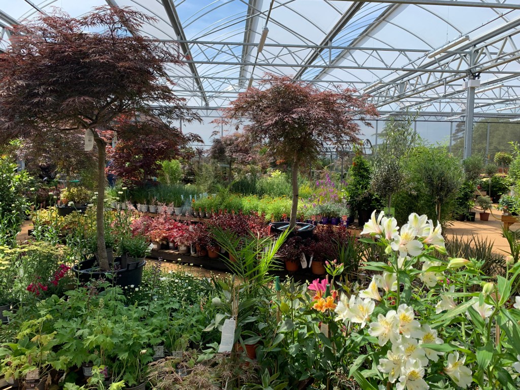 Our New Planteria – Highfield Garden World