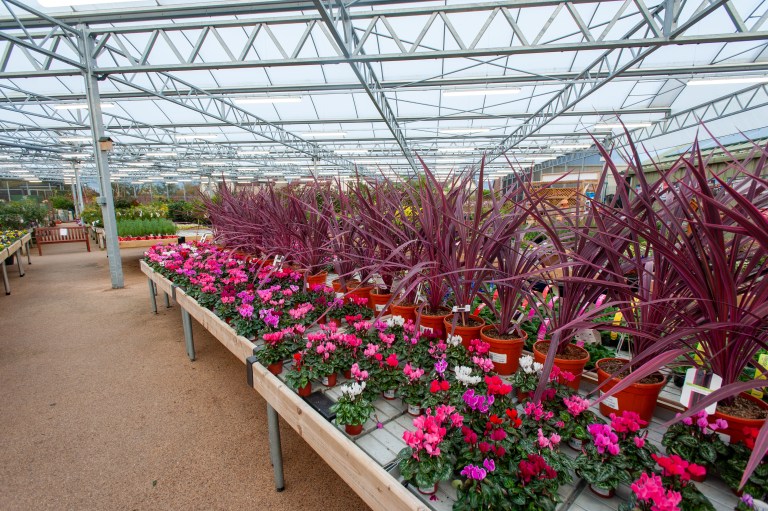 Highfield Garden World – Gloucestershire's Leading independent Garden ...