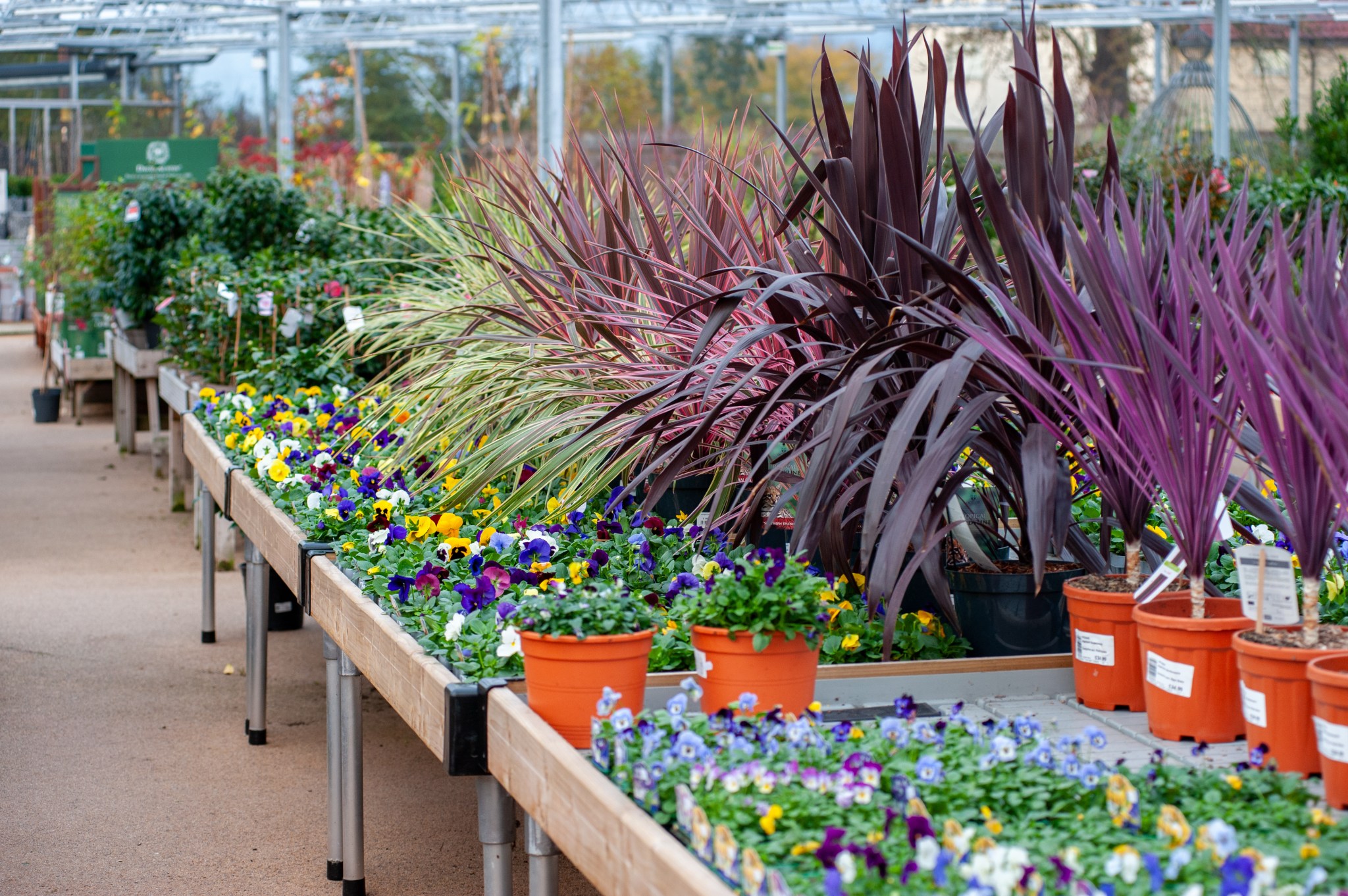 Highfield Garden World – Gloucestershire's Leading independent Garden ...