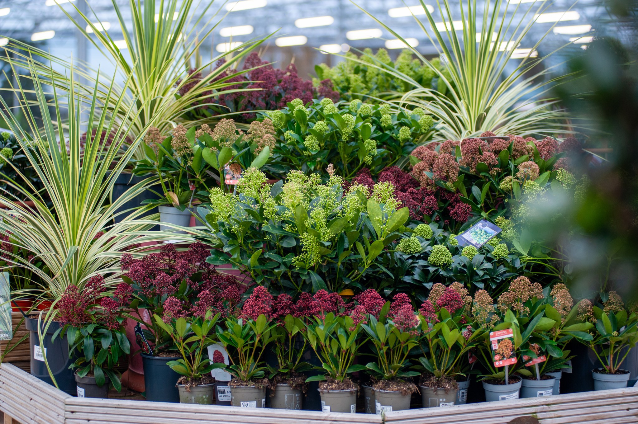 Highfield Garden World – Gloucestershire's Leading independent Garden ...